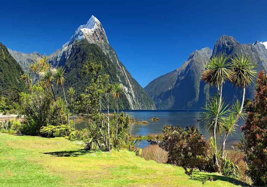 New Zealand Explorer 4